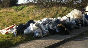 Some of the rubbish we collected